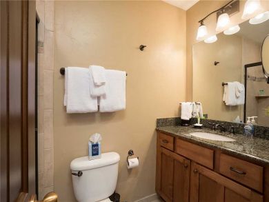 Steamboat Springs Home 927829