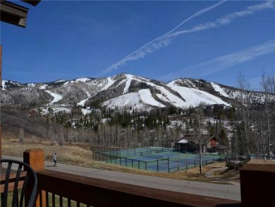 Steamboat Springs Home 927829