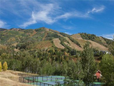 Steamboat Springs Home 927829