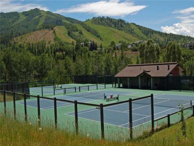 Steamboat Springs Home 927829