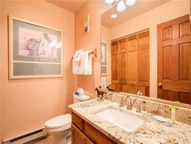 Steamboat Springs Home 927830