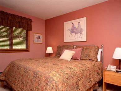 Steamboat Springs Home 927830