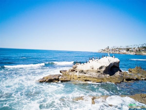 Three Bedroom Oceanfront Luxury Rental Home in La Jolla