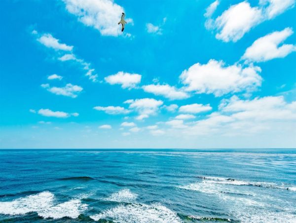Three Bedroom Oceanfront Luxury Rental Home in La Jolla
