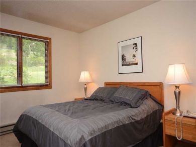Steamboat Springs Home 927834