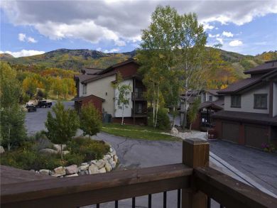 Steamboat Springs Home 927834