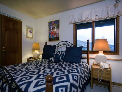 Steamboat Springs Home 927835