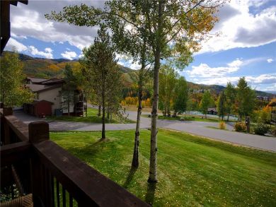Steamboat Springs Home 927835