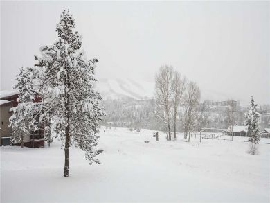 Steamboat Springs Home 927835