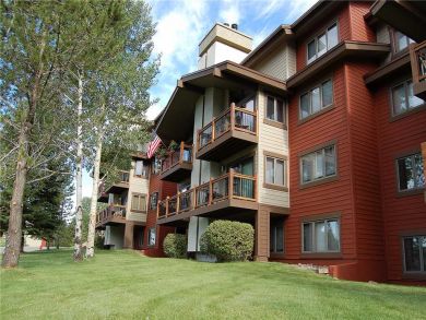 Steamboat Springs Home 927835