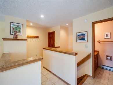 Steamboat Springs Home 927836