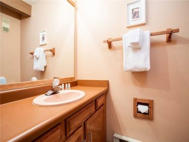 Steamboat Springs Home 927836