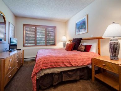 Steamboat Springs Home 927836