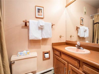Steamboat Springs Home 927836
