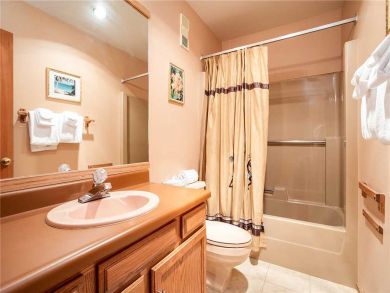 Steamboat Springs Home 927836