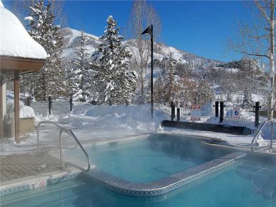 Steamboat Springs Home 927836