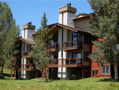 Steamboat Springs Home 927836