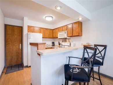 Steamboat Springs Home 927837