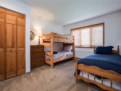 Steamboat Springs Home 927837