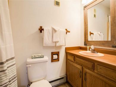 Steamboat Springs Home 927837