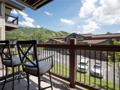 Steamboat Springs Home 927837