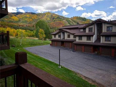 Steamboat Springs Home 927837