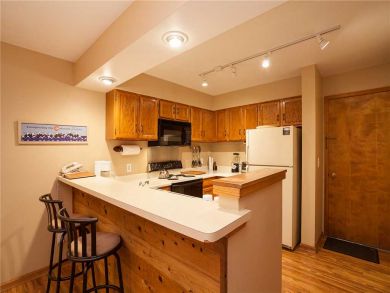 Steamboat Springs Home 927838