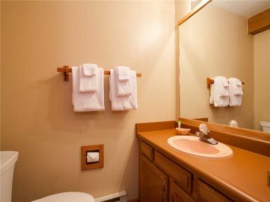Steamboat Springs Home 927838