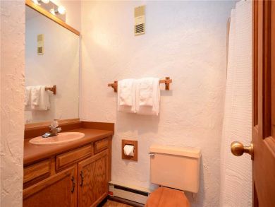Steamboat Springs Home 927838