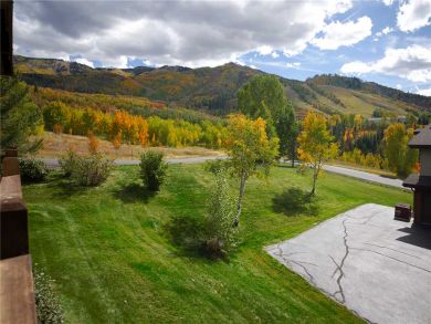 Steamboat Springs Home 927838