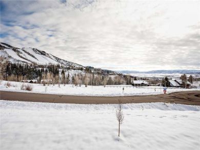 Steamboat Springs Home 927839