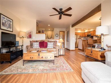 Steamboat Springs Home 927840