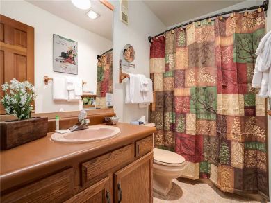 Steamboat Springs Home 927840