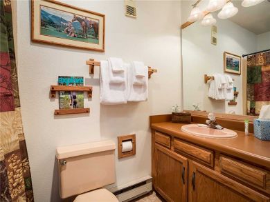 Steamboat Springs Home 927840