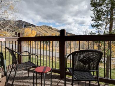 Steamboat Springs Home 927840