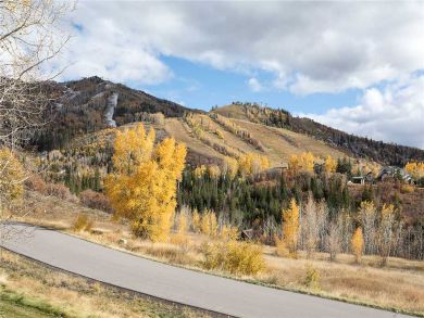 Steamboat Springs Home 927840