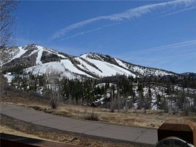 Steamboat Springs Home 927840