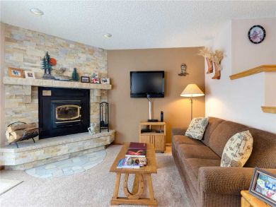 Steamboat Springs Home 927843