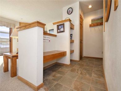 Steamboat Springs Home 927843