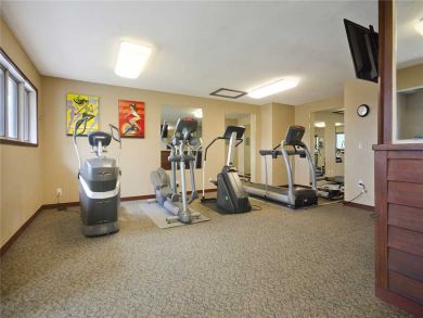 Steamboat Springs Home 927843