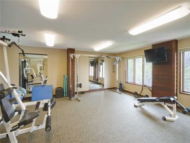 Steamboat Springs Home 927843