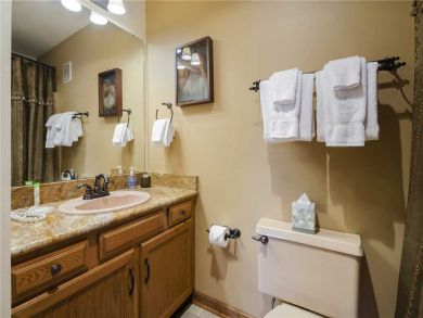 Steamboat Springs Home 927846