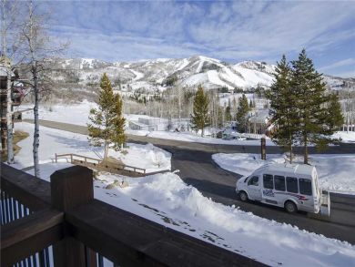 Steamboat Springs Home 927846
