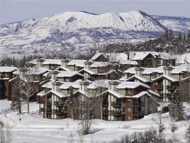 Steamboat Springs Home 927846