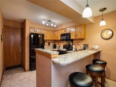 Steamboat Springs Home 927847