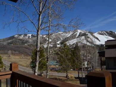 Steamboat Springs Home 927847