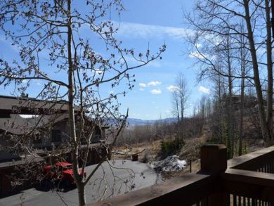 Steamboat Springs Home 927847
