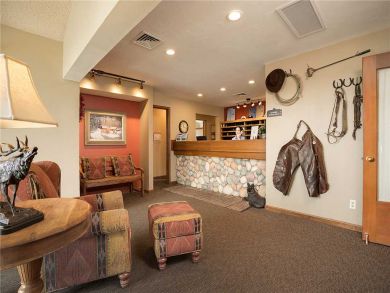 Steamboat Springs Home 927847