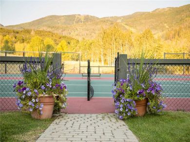 Steamboat Springs Home 927847