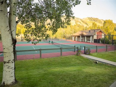 Steamboat Springs Home 927847